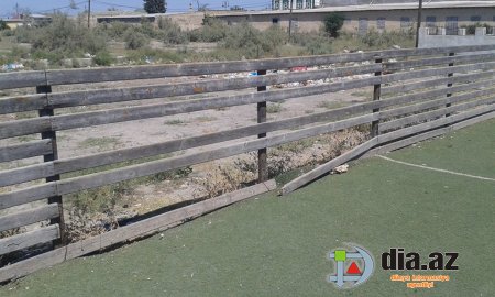 Ucar sakinlərindən Azad Rəhimova ağıllı məsləhət - В«Dövlətin pullarını daha da səmərəli xərcləmək olarВ»