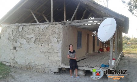 Zərdabın icra başçısı bu çoban ailəsindən nə istəyir? Zərdabın icra başçısı bu çoban ailəsindən nə istəyir?