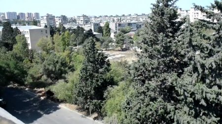 Adil Vəliyevin bu boyda həngamədən xəbəri yoxdur? Adil Vəliyevin bu boyda həngamədən xəbəri yoxdur?