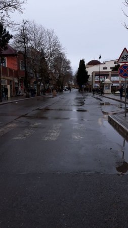 Elmar Vəliyev Gəncə bazarını mühasirəyə alıb Elmar Vəliyev Gəncə bazarını mühasirəyə alıb