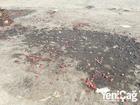 Şabranın icra başçısı bu xarabalıqdan nə qədər pul qazanır? Şabranın icra başçısı bu xarabalıqdan nə qədər pul qazanır?