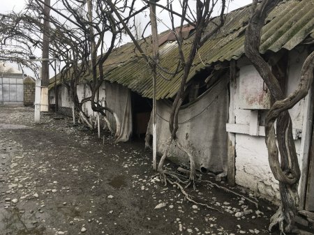 Sahil Babayev gözdən əlilə necə zülüm edir... Sahil Babayev gözdən əlilə necə zülüm edir...