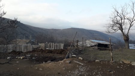 Göygölün icra başçısı hara baxır ki?.. Göygölün icra başçısı hara baxır ki?..