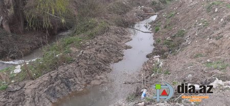 Göyçay sakinləri tanınmış oliqarxdan Prezidentə şikayət etdilər... Göyçay sakinləri tanınmış oliqarxdan Prezidentə şikayət etdilər...