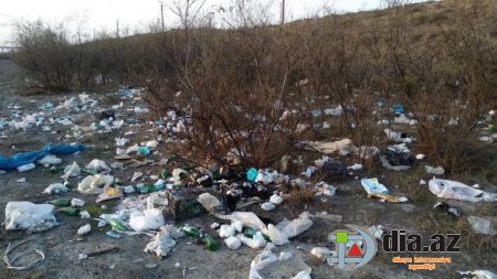 Kürdəmirdə virus mənbəyi... Kürdəmirdə virus mənbəyi...