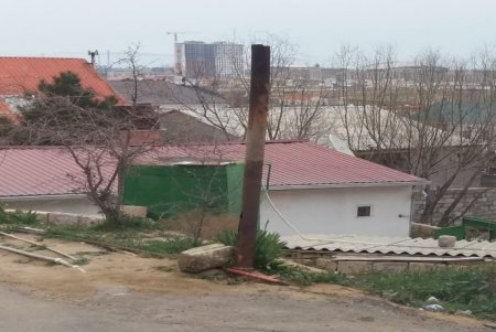 Neft kəmərlərinin mühafizə zolağında “biznes imperiyası” Neft kəmərlərinin mühafizə zolağında “biznes imperiyası”
