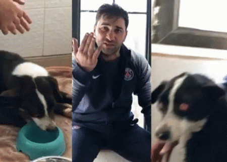 “Yardım”, yoxsa dövləti gözdənsalma kampaniyası... “Yardım”, yoxsa dövləti gözdənsalma kampaniyası...