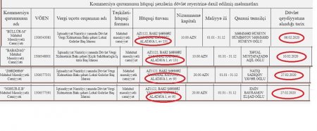 Alatavada "cücərdilən" şirkətlər, silinən milyonlar Alatavada "cücərdilən" şirkətlər, silinən milyonlar
