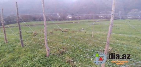 Lerik sakinlərini narazı salan kimlərdir? Lerik sakinlərini narazı salan kimlərdir?