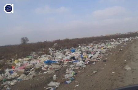 Xaraba günə qalan GORANBOY...