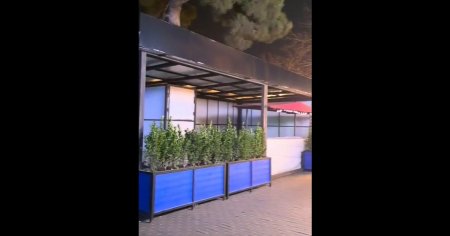 Coşqun Cəbrayılov “GECƏ XƏLVƏT” dedi və... Coşqun Cəbrayılov “GECƏ XƏLVƏT” dedi və...
