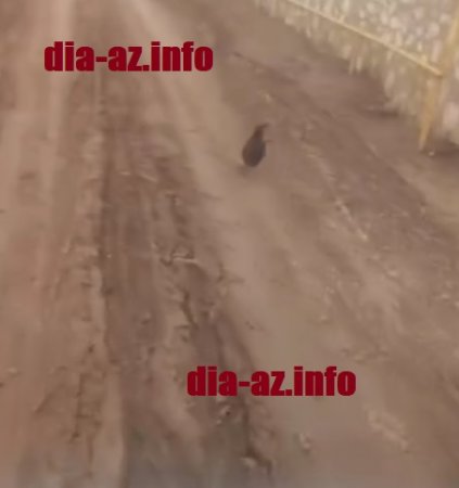 Nehrəm sakinlərinin ACINACAQLI DURUMU Nehrəm sakinlərinin ACINACAQLI DURUMU