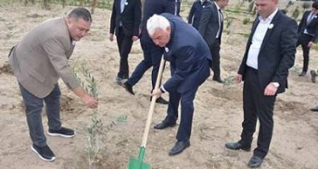Sarıməmmədov Pirallahının icra başçısı olmaq üçün hərəkətə keçib?.. Sarıməmmədov Pirallahının icra başçısı olmaq üçün hərəkətə keçib?..